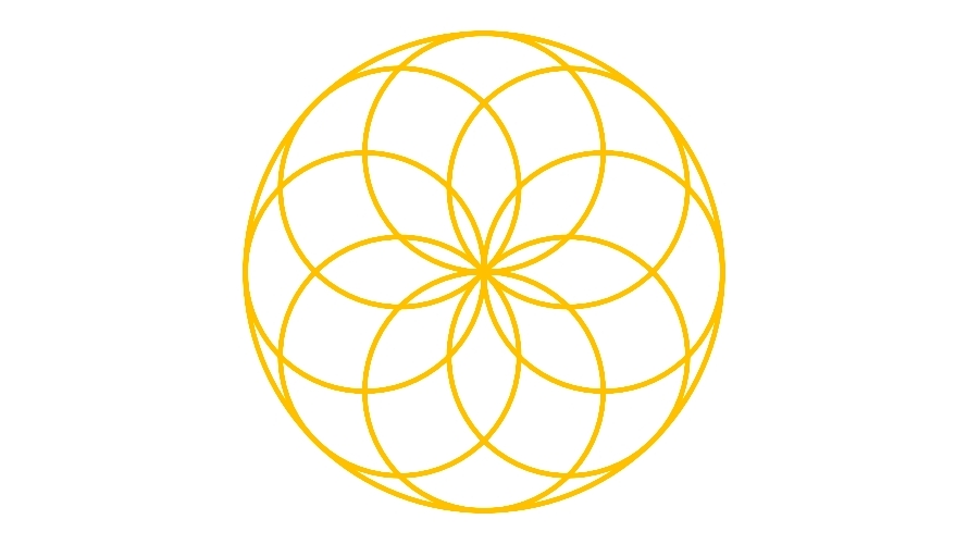 PTrade用户常见问题与解答汇总